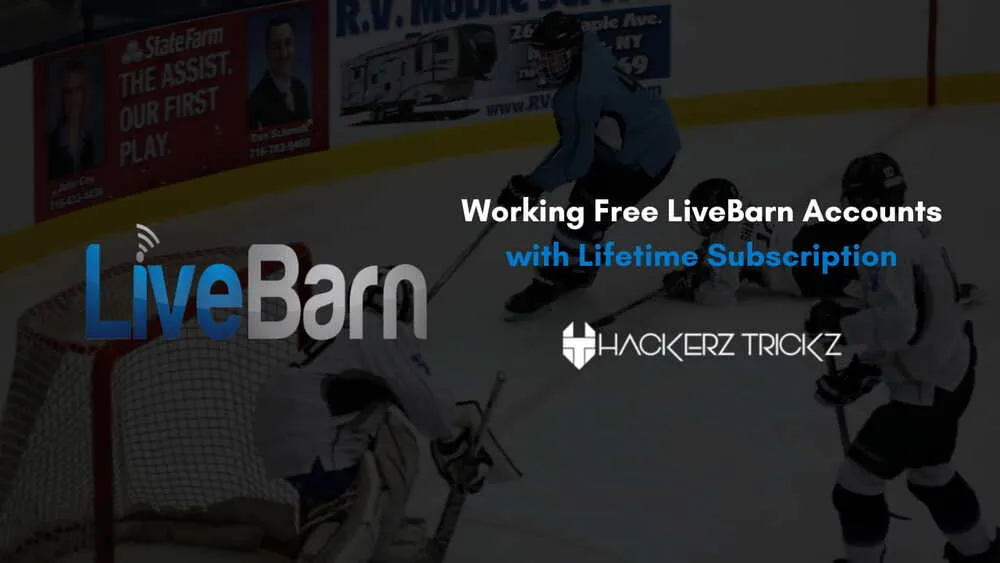 How To Make The Most Of Your Live Barn Experience